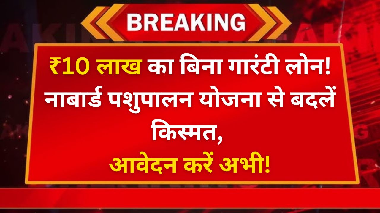 नाबार्ड डेयरी लोन योजना 2024