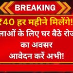 मुख्यमंत्री वर्क फ्रॉम होम योजना